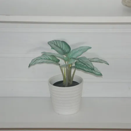 Dg-zimmer Kolín nad Rýnem